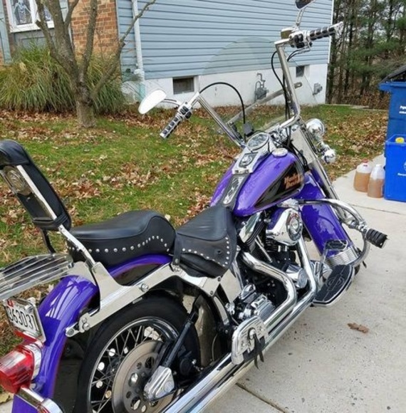 Meet your Posher, Walter - Picture 1 of 1